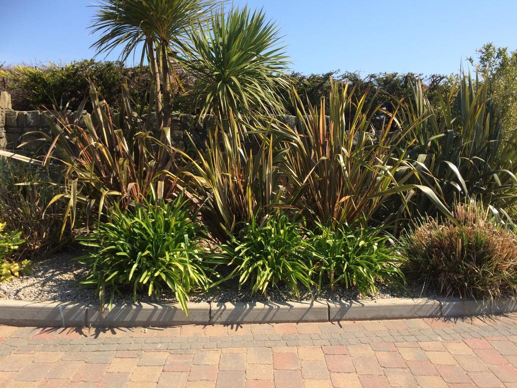 Bearlough Self Catering Holiday Home Rosslare Harbour Zewnętrze zdjęcie